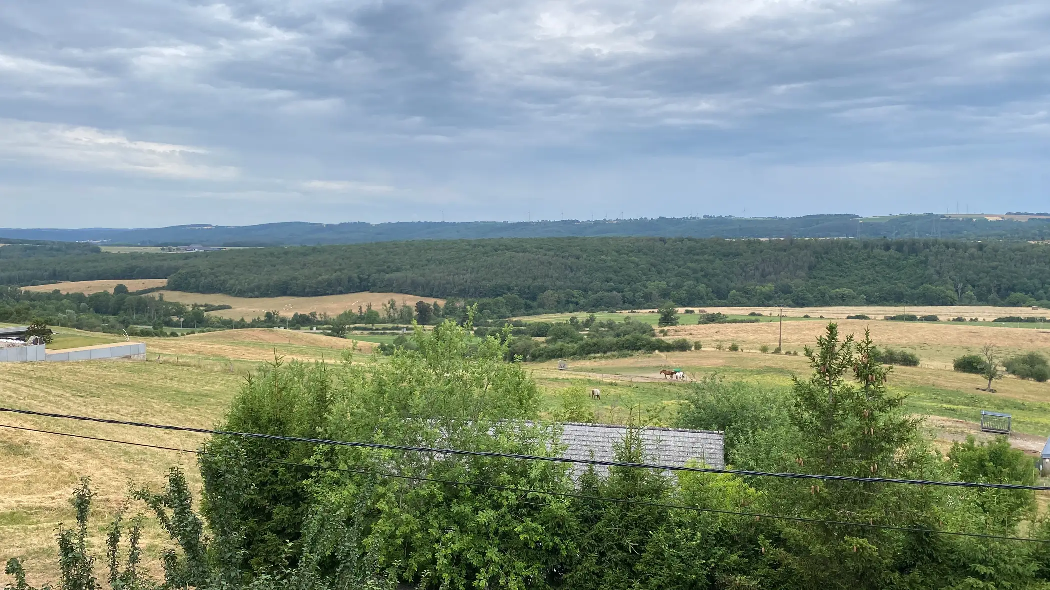 Cottage for 15 people in Beauraing Gîte Le Chalet Suisse